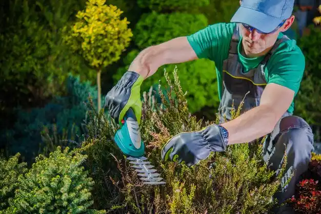 landscaping services South Deerfield